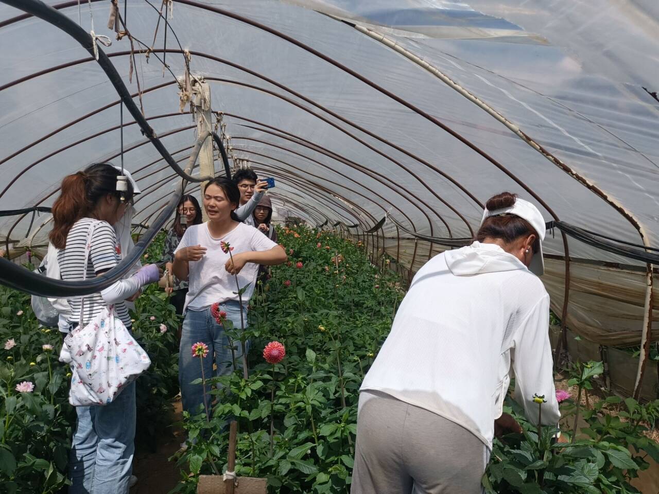 M(jn)rNֲܮa(chn)I(y)l(f)չ}