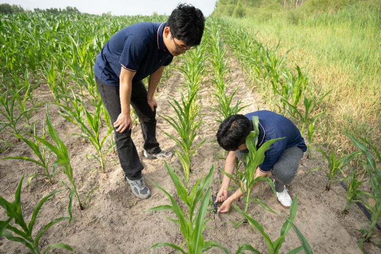 ЇʯʹW(xu)A|ʯ͹̌W(xu)ԺҰdl(xing)(sh)`(du)B(ti)d o(h)Gɫ҈@