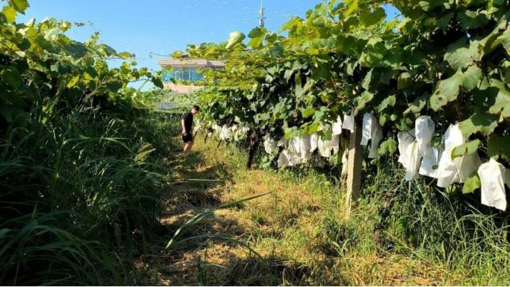 иĸ_(ki)ž̽F(xin)l(xing)d