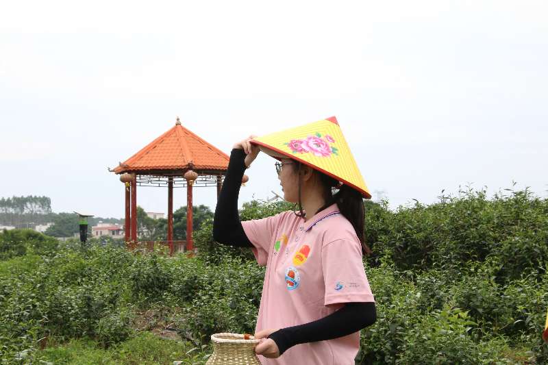 (sh)`R W(xu)(hu)(sh)`(du)ͶӲ@ l(xing)d(sh)A(ch)