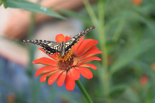 ԺW(xu)l(xing)̽Lr(nng)(chng)I(lng)B(ti) l(xing)d