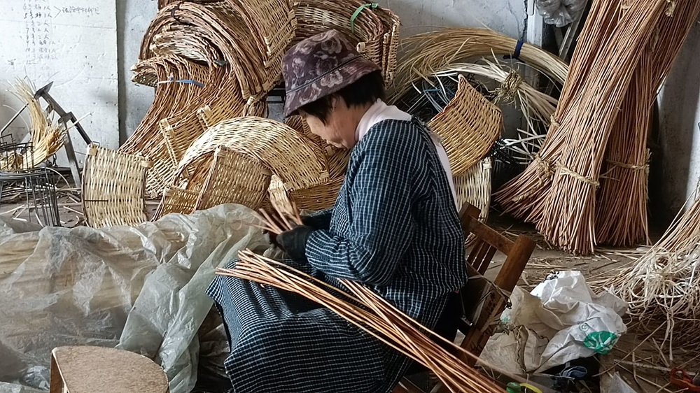 xܰl(f)չ{Dഺl(xing)d