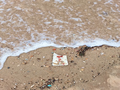 ɳ[{(dio)ЈF(tun)ɏV|ʡ麣{(dio)