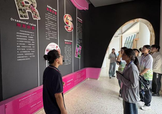 (j)ƽ(du){(dio)нM̽Lõa(chn)I(y)еd֮·