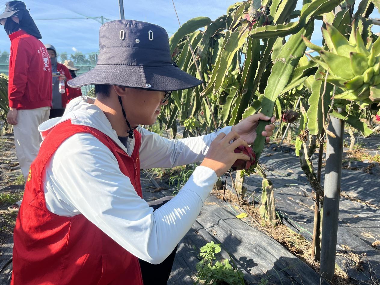 ഺxܮa(chn)I(y)d Ƽ@