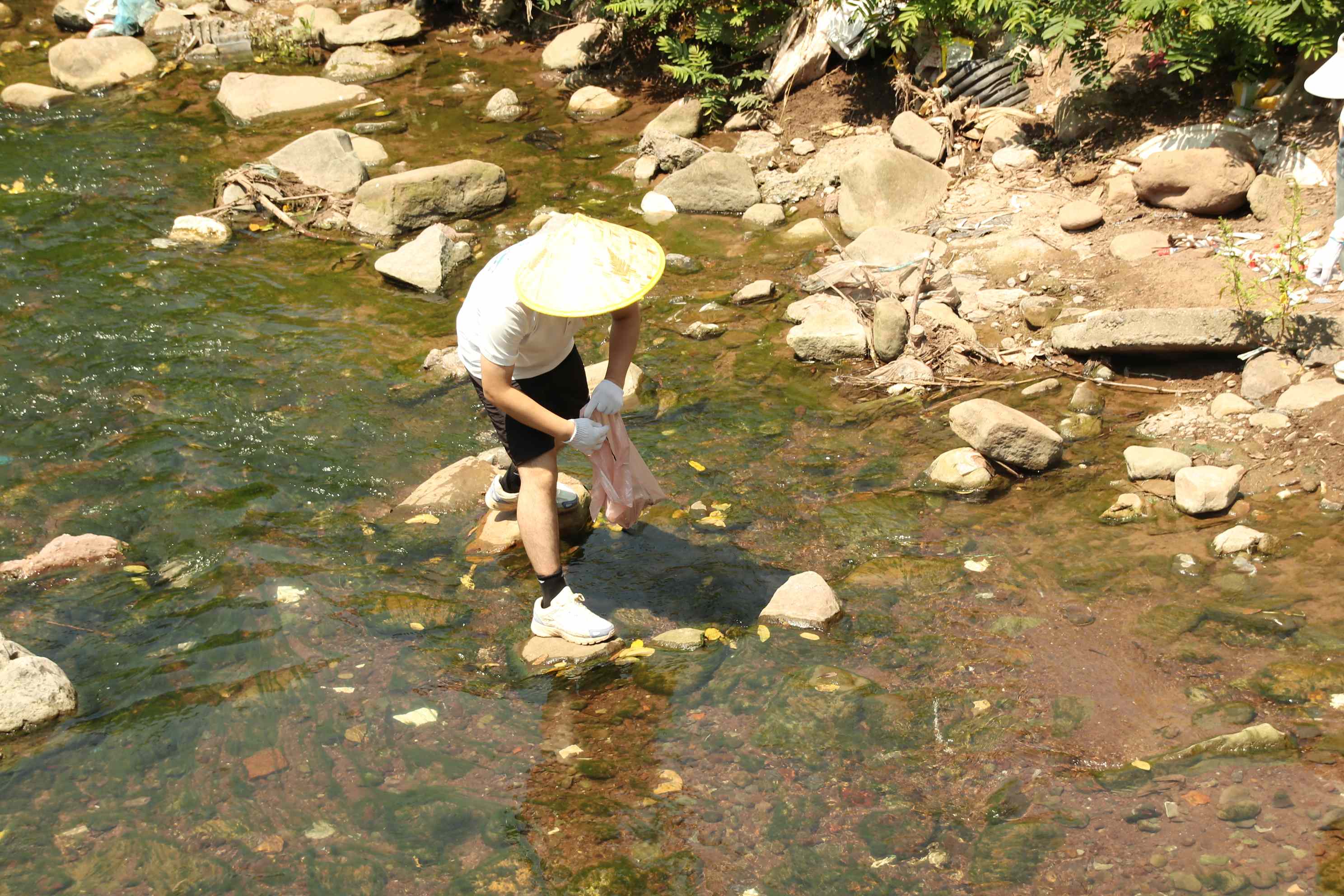 ഺ(mng)Сࡱ trI(lng)l(xing)Ұˮl(wi)(zhn)