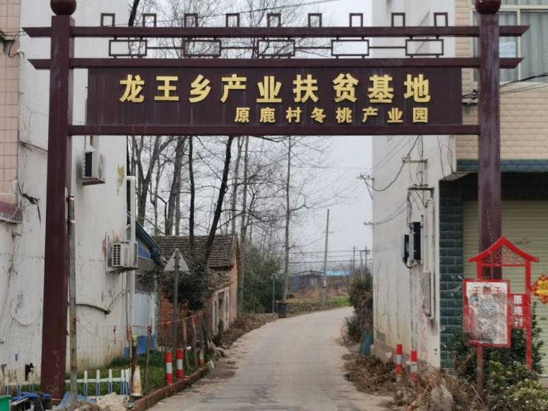 r(nng)ֱl(xing)ɫa(chn)I(y)l(f)չČ`cM·оԸl(xing)