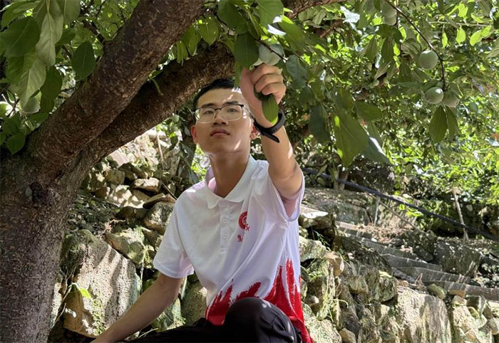 W(xu)ԿƼx}|ɽir(nng)I(y)dܴa