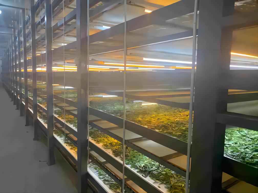 "Ƽd(sh)ֻM}a(chn)I(y)d󎟼ܲCĮa(chn)I(y)