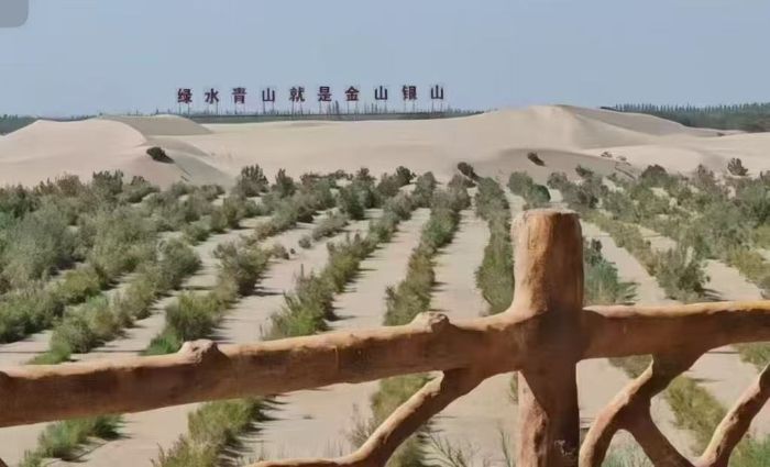 ഺɳGƌW(xu)cg(sh)W(xu)Ժl(xing)(sh)`F(tun)̽w