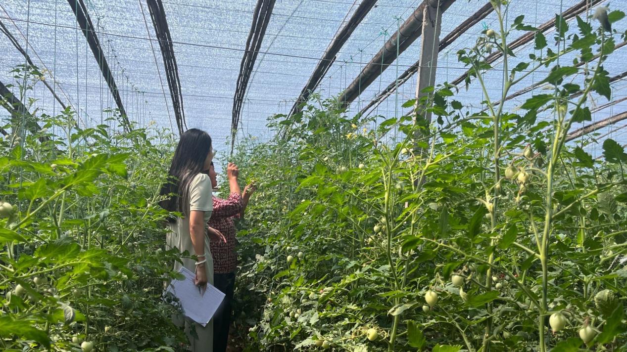 l(xing)dČ`򣺮a(chn)I(y)dI(lng)µl(xing)͑׃cϣ