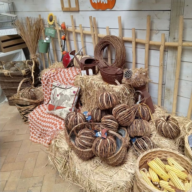 M(jn)l(xing)壬p(d)L(fng)