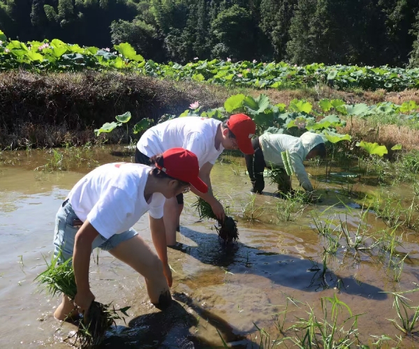 g݄ `Єڄ(dng)ϽW(xu)l(xing)(sh)`(du)Rִr(nng)