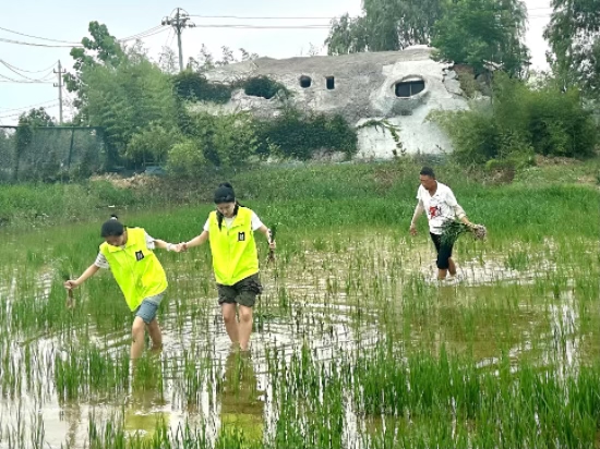 MԭꖣϹI(y)W(xu)Bۇ(ji)Z֮