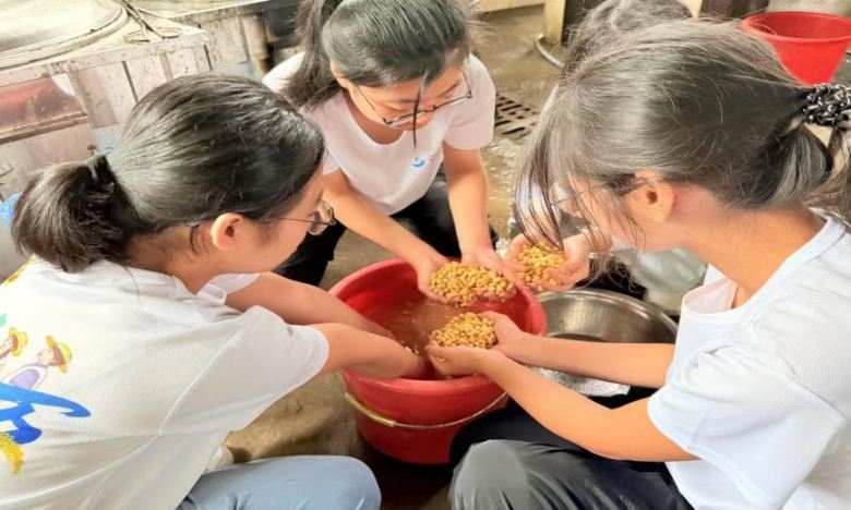 Ʒz   (jng)Q(mo)WԺͻ_չߍw򞌍`