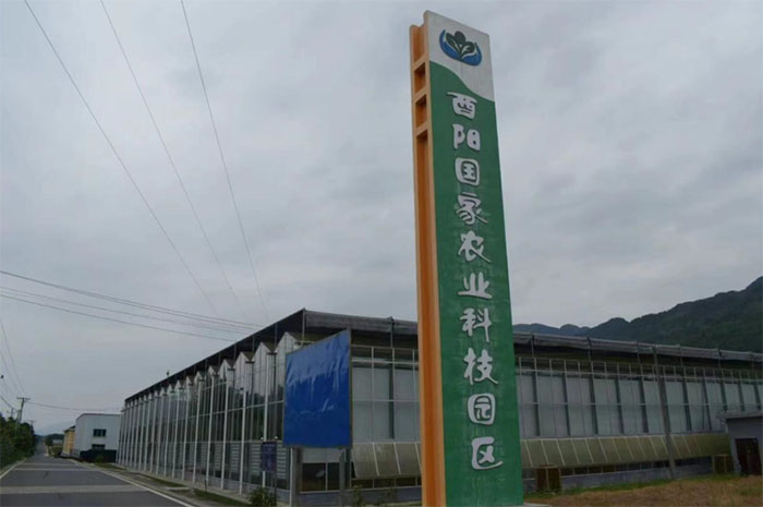 Ժꡰl(xing)һƬͲ䁾d·