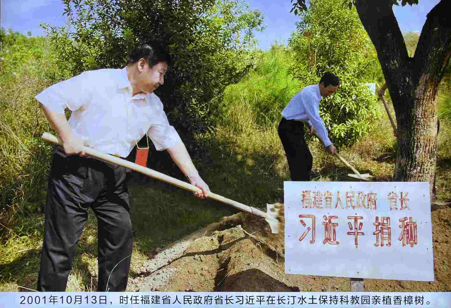 L(zhng)͡(jng)(yn)· Gɫ׃L¾