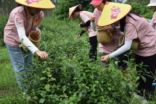 Aƽ(chung)ԣW(xu)M(jn)(zhn)l(xing)