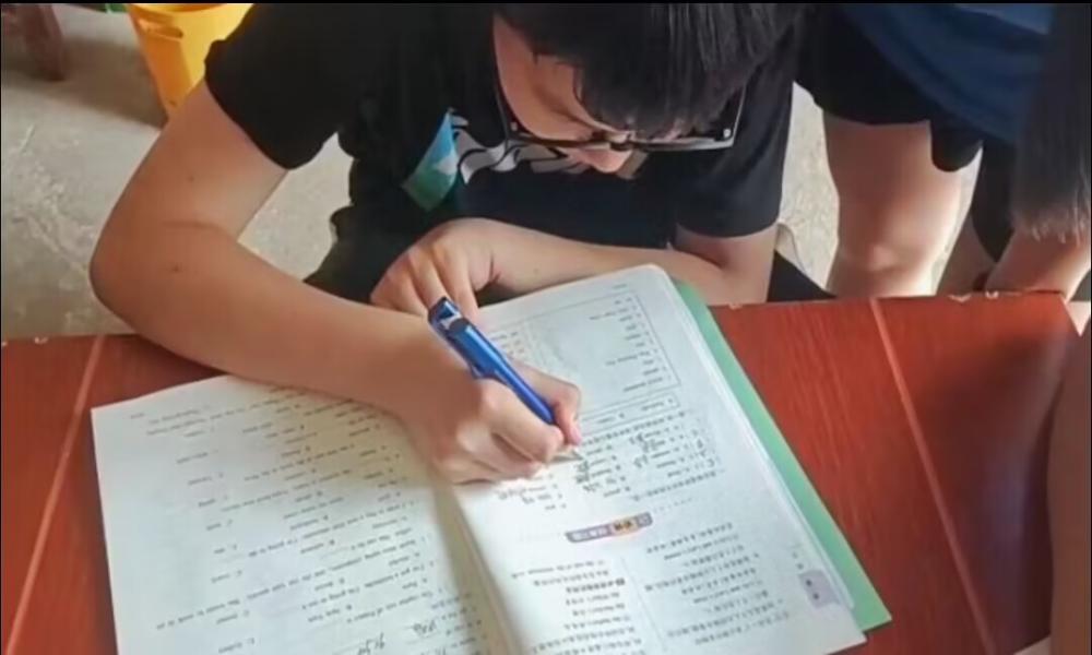 頿ůͯġx(w)֧̈F(tun)(du)ڌ(sh)`(dng)