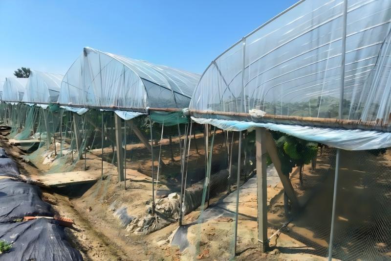 ͬ(zhn)ш@_(ki)չǻr(nng)I(y)(zhun)}{(dio)