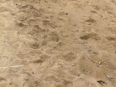 ɳ[{(dio)ЈF(tun)ɺʡ{(dio)