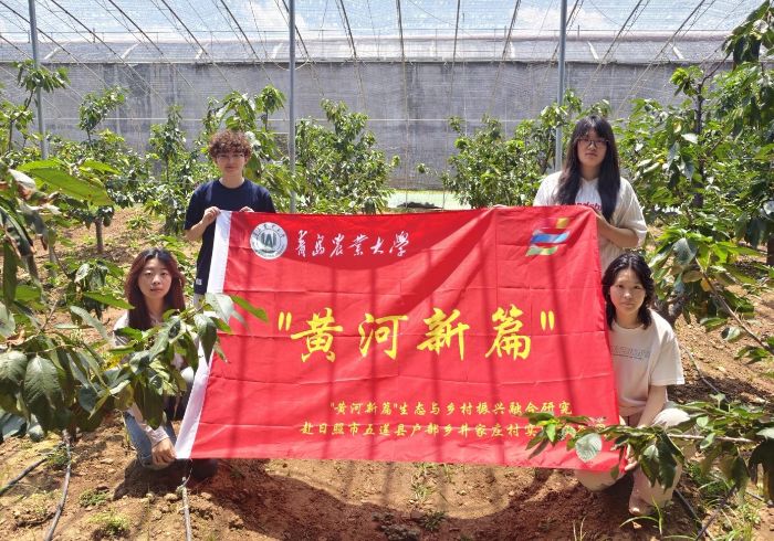 Sƪ{(dio)ЈF(tun)ഺǻr(nng)ҼtLd