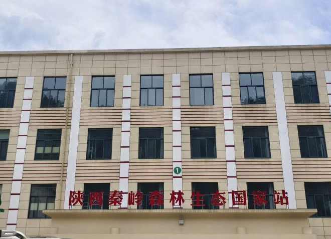 r(nng)W(xu)M؎X O(sh)ЇЄ