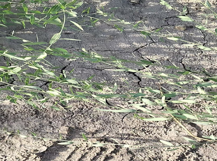 }A͹ȷʽĬF(xin)(zhn)