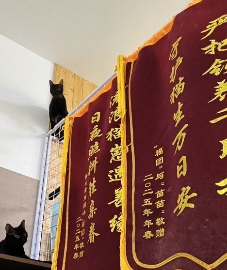 ůһֻС؈硪Ar(nng)I(y)W(xu)W(xu)؈`Y(ji)