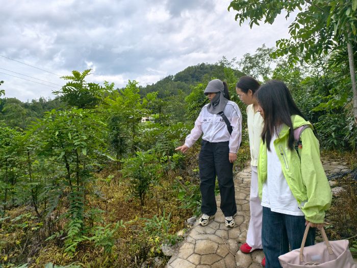 Pɽˎpd`һáˎġa(chn)I(y) ѺN繫˾̽ҪЧ·