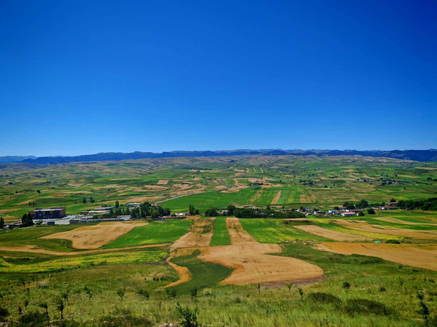 uƼW(xu)l(xing)dM(jn)F(tun)ľh_չ(sh)`(dng)