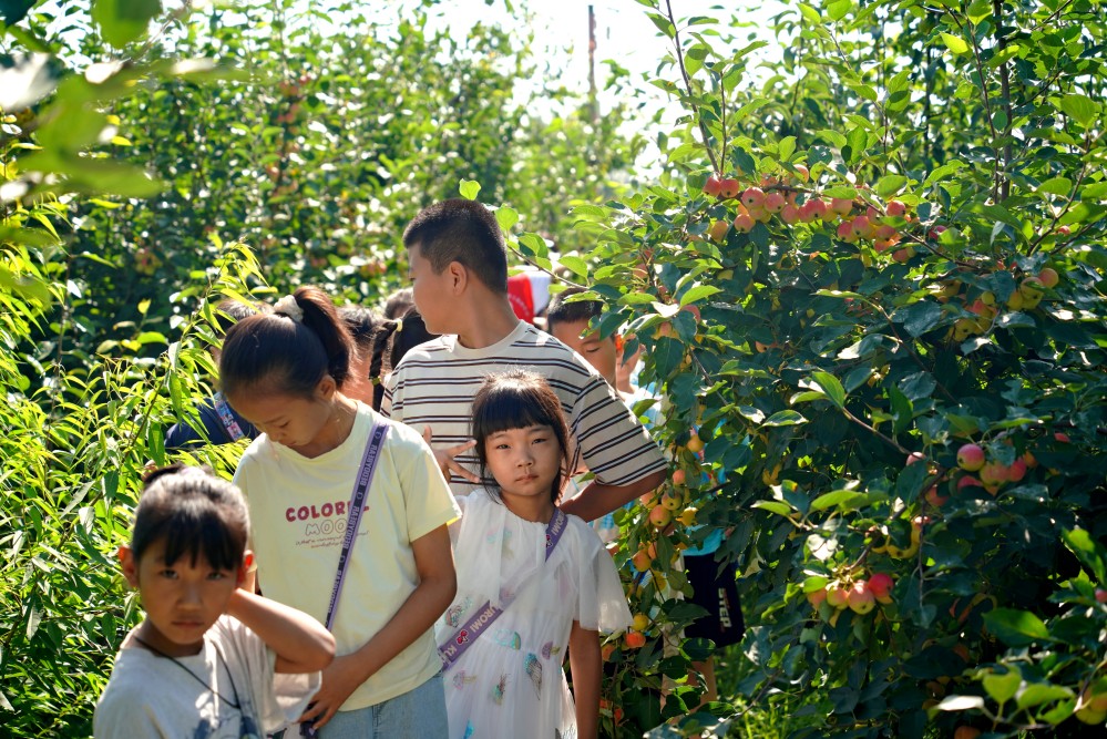 Ї(gu)ʯʹW(xu)A|΢֧(du)I(lng)W(xu)M(jn)|م^(q)017ˇg(sh)^I(yng)ЌW(xu)(dng)c(din)ͯ愓(chung)