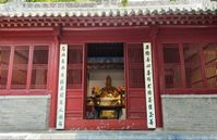 ؑcW(xu)l(xing)l(xing)퍌(sh)`F(tun)(yng)ɶpǌʥӛ