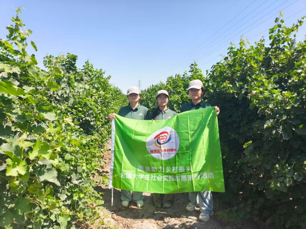 d܊ɽ|W(xu)Z(y)(rn)(jng)dr(nng)(sh)`F(tun)