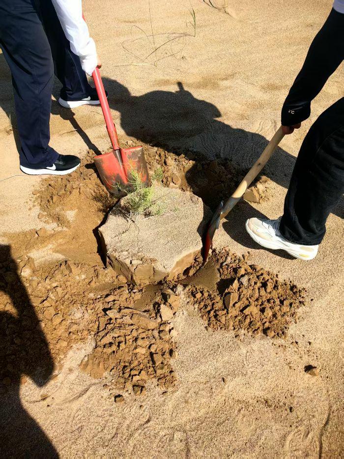 mݽͨW(xu)W(xu)l(xing)Gl(xing)