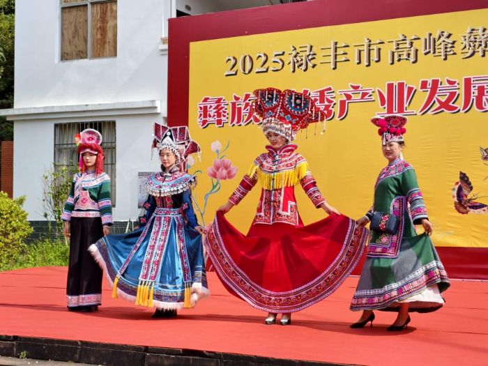 ꃎCн꠸ϵS{(dio)У̽hI(lng)·z·