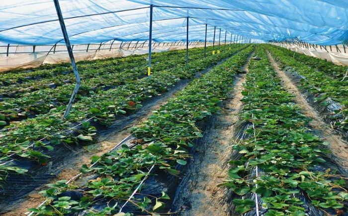 Zw¹ռl(xing)־ԸڴFڴl(xing)d`֮