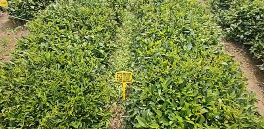 ۽aI(y)B(ti)l(f)չ rWӸuȪI(y)_չ{