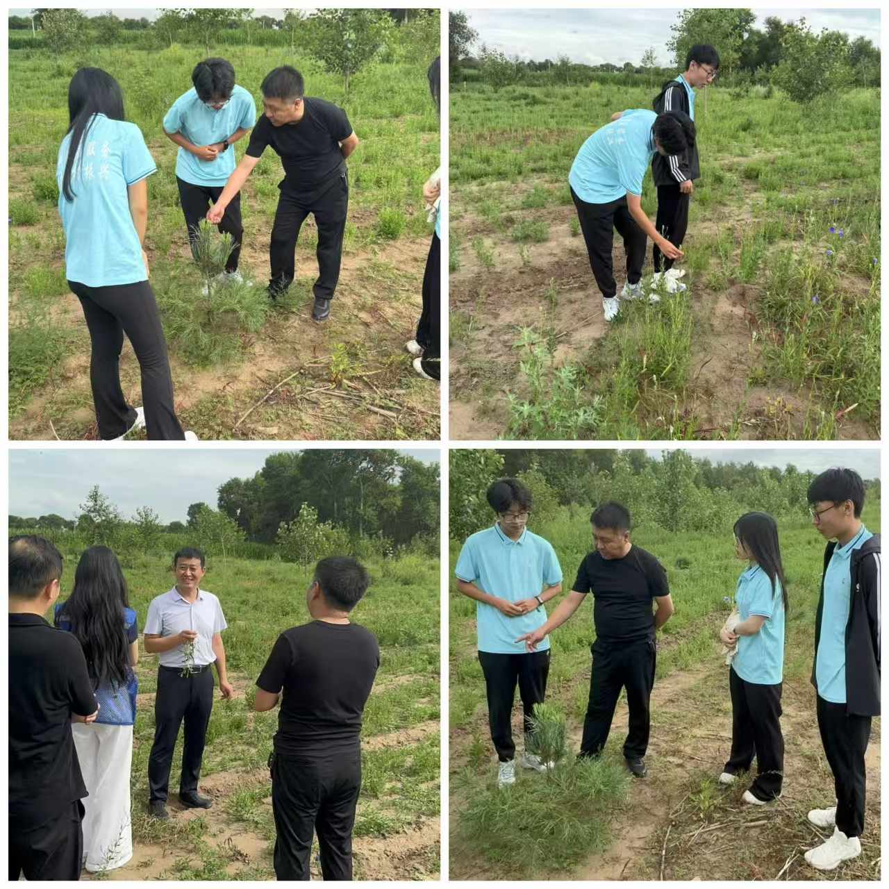 |֘I(y)W(xu)̩h_չ l(xing) (sh)` ½(jng)(j)c˼ںϰl(f)չ