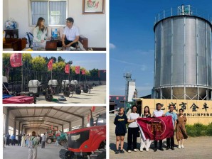 t{(dio)ЈF(tun) {(dio)л(dng)