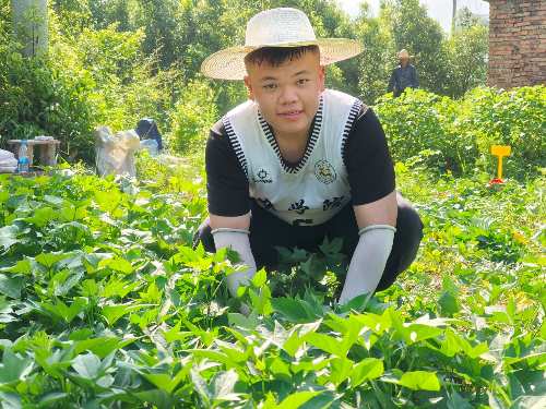 rִW硱`l(xing)r(yu)x磬oZʳȫ