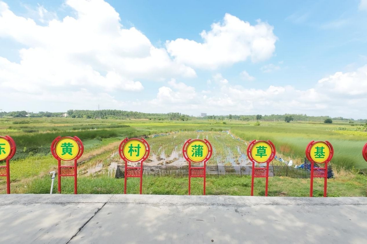 տƌWӡl(xing)Ѳl(xing)s|S