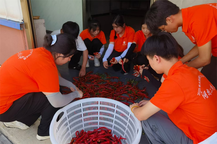 l(xing)(sh)`F(tun)Su̽y(tng)ˇ?yn)l(xing)dܴa