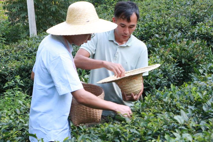 VWİڄӌ`Fe|l(xing)_չ`