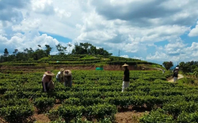 l(xing)`꠸ȪаϪh󌚷@_չ