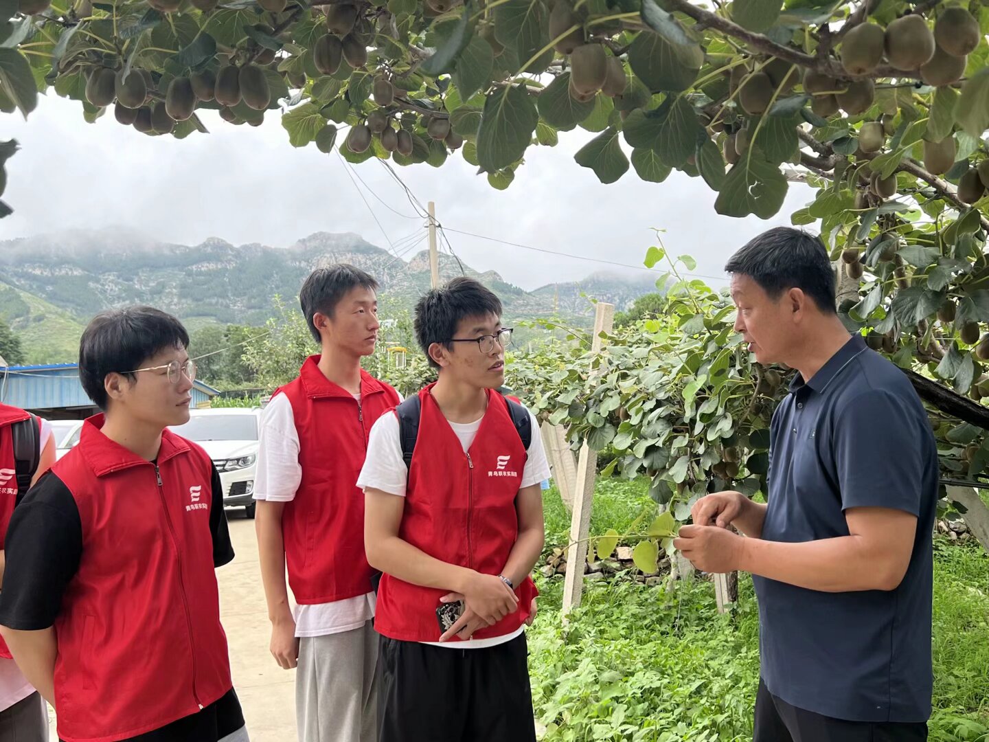 ɽ|W(xu)B(nio)(lin)r(nng)(sh)`F(tun)̽LĴJҺ磺F(xin)r(nng)I(y)Ll(xing)dD