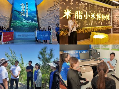 ͨWЌWԺ`F֮֬УഺP|Ll(xing)ƪ