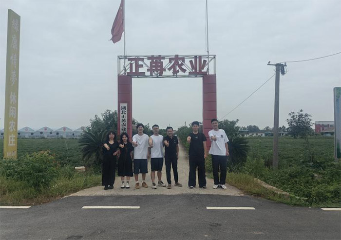 ǻr(nng)I(y)؆ǧؕ˵ġδ(li)ģʽAr(nng)(sh)(zhun)I(y)(sh)`F(tun)̽ɽ޷깩(yng)·