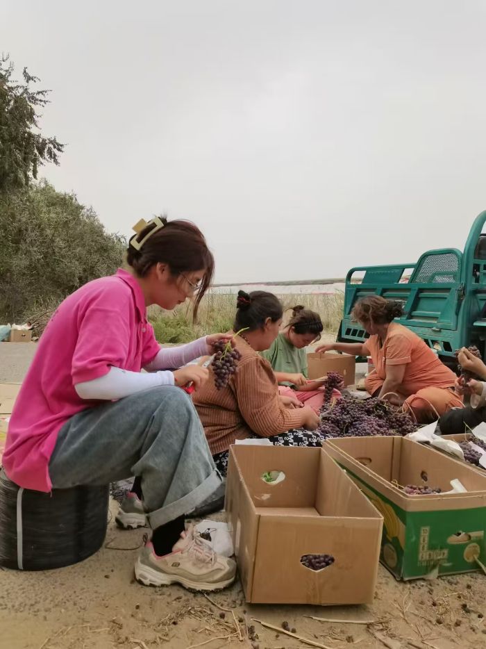 {(dio)ЈAMĻഺWҫ߅