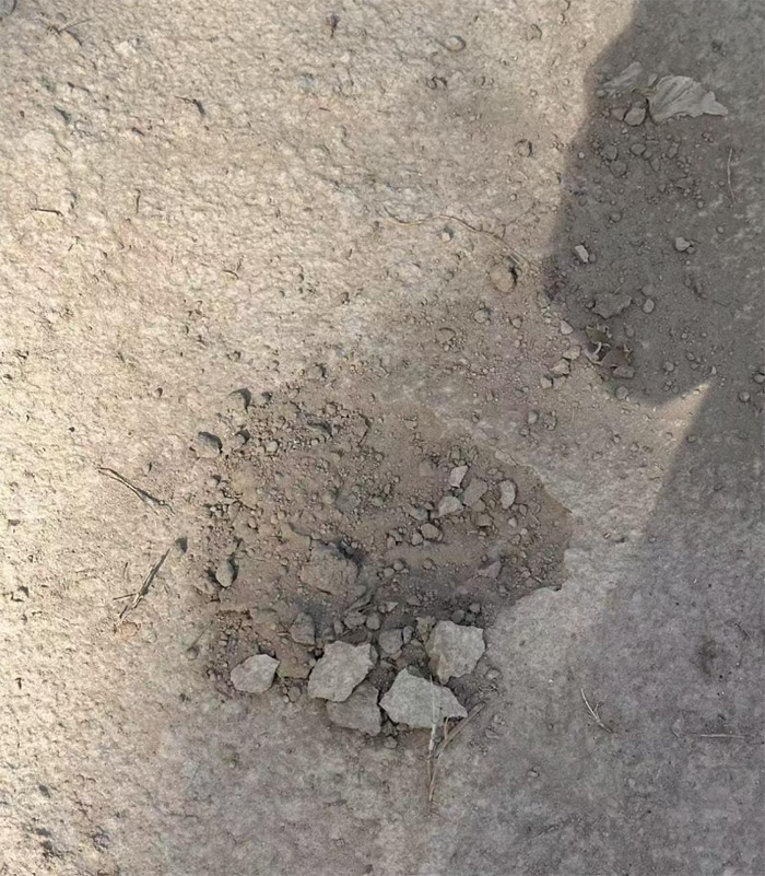 ˮčW(xu)Ժ_չ }Acȃ(yu){(dio)С 